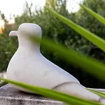 בית נופש Aries