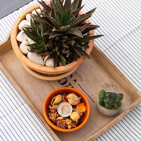 Aries Сasa de vacaciones Supetar