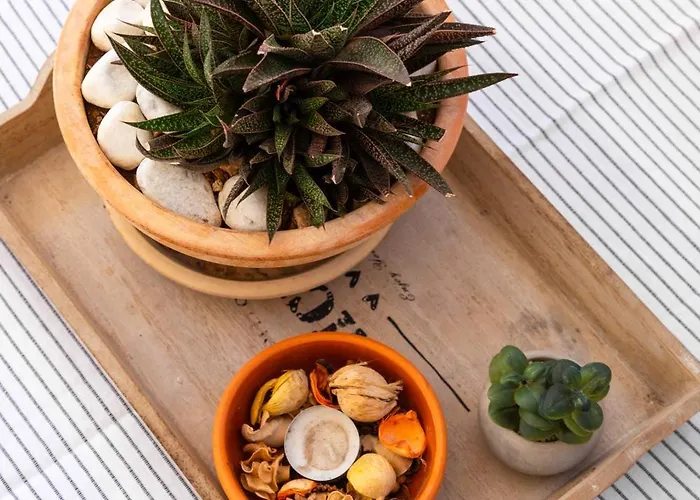 Aries 펜션 수페타르